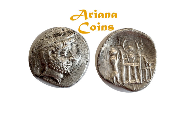Kings of Persis. Darios (Darev) I. 2nd century BC. AR Drachm