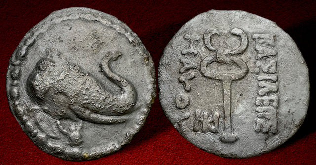 Indo-Skythians, Maues. Circa 90-60 BC. AE