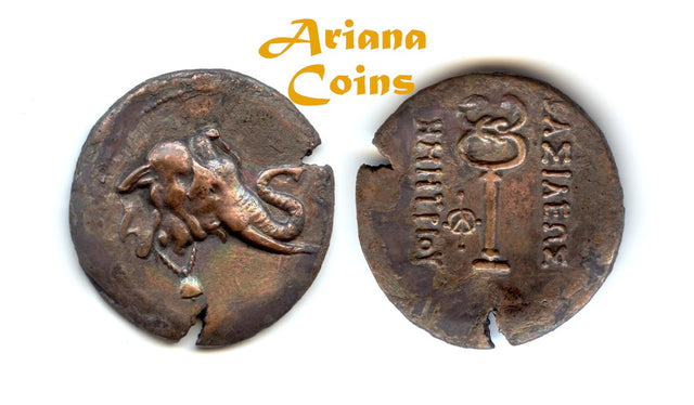 Baktria, Greco-Baktrian Kingdom, Demetrios I Antiketos. Circa 200-185 BC. AE Triple Unit