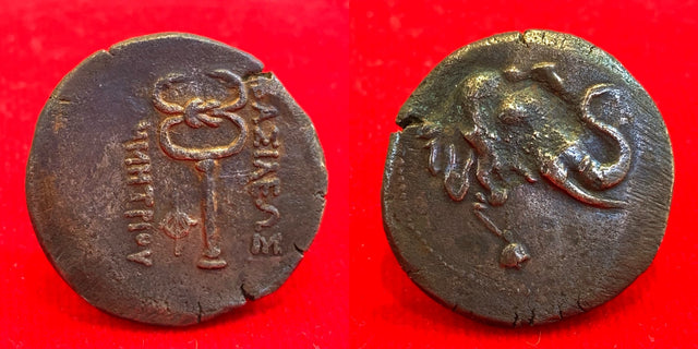 Baktria, Greco-Baktrian Kingdom, Demetrios I Antiketos. Circa 200-185 BC. AE Triple Unit.