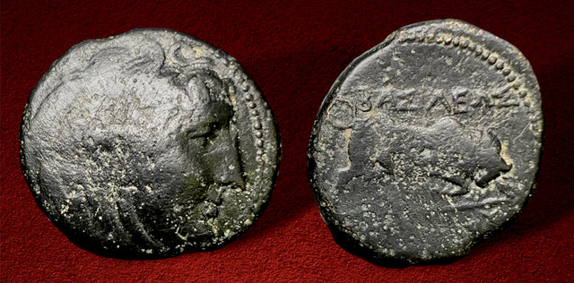 Seleukid Kings. Seleukos I Nikator., Second satrapy and kingship (BC 312-281) AE