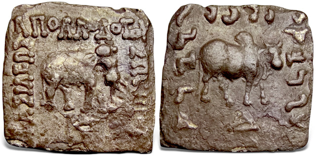 Indo-Greek Kings. Apollodotos I Soter. (Circa 175-165 BC). AR Drachm.