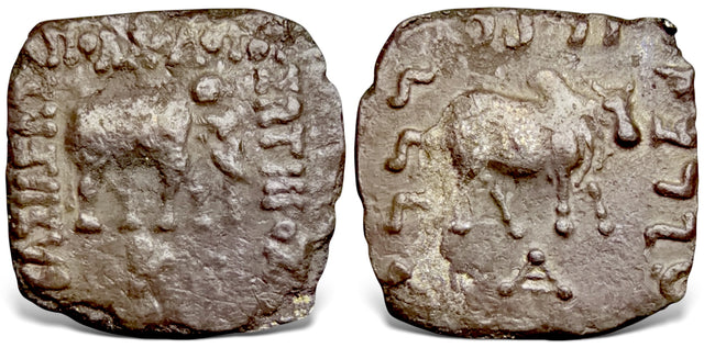Indo-Greek Kings. Apollodotos I Soter. (Circa 175-165 BC). AR Drachm.