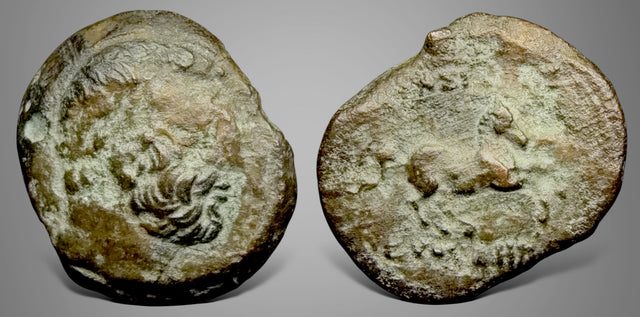 Baktria, Greco-Baktrian Kingdom. Euthydemos I. (Circa 225-200 BC). AE Double Unit. Rare