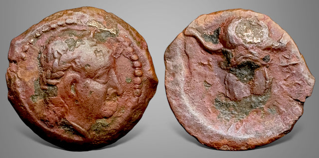 Seleukid Kings. Antiochos I Soter. (Circa 281-261 BC). AE Unit. Extremely Rare, bargain price