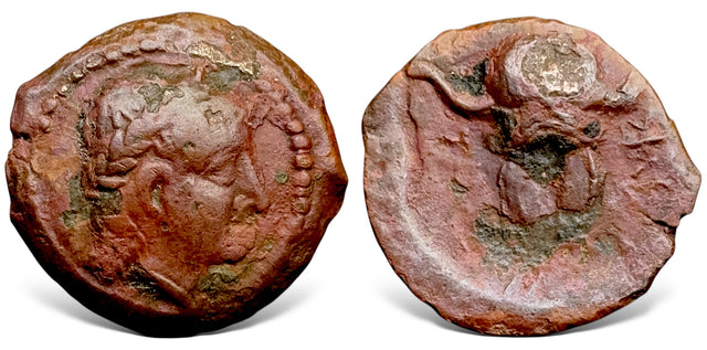Seleukid Kings. Antiochos I Soter. (Circa 281-261 BC). AE Unit. Extremely Rare, bargain price