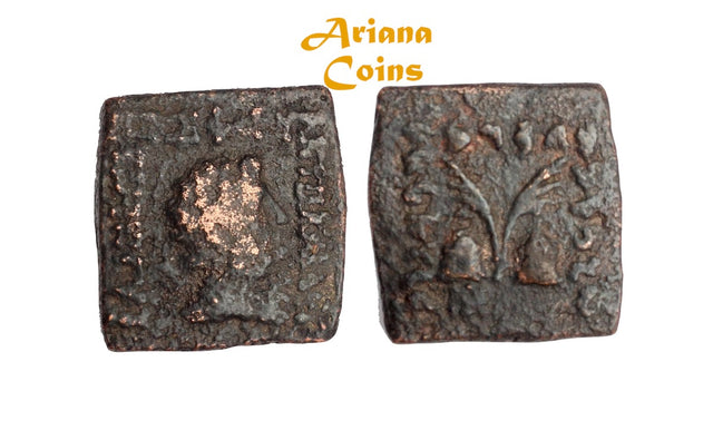 Indo-Greek Kingdom. Antialkidas. Circa 115-95 BC. AE Square Hemiobol