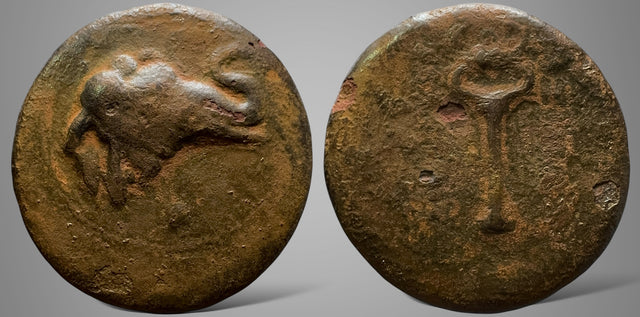 Baktria, Greco-Baktrian Kingdom, Demetrios I Antiketos. (Circa 200-185 BC). AE Triple Unit.