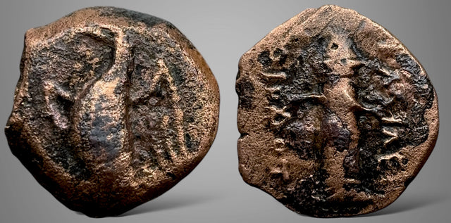 Baktria, Greco-Baktrian Kingdom. Diodotos I & II. (Circa 250-225 BC) AE. Rare this nice