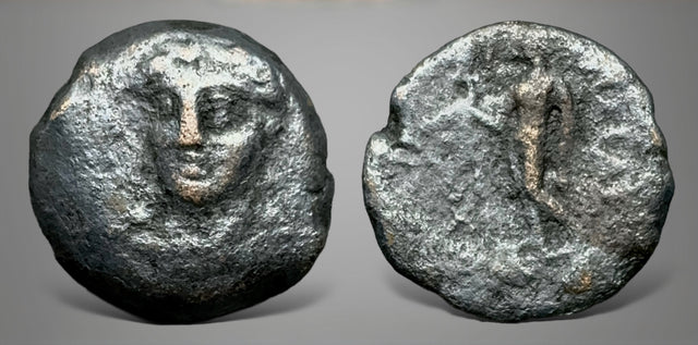 Seleukid Kings, Antiochos III ‘the Great’. (BC 222-187). AE Chalkous. Seleukeia on the Tigris mint.