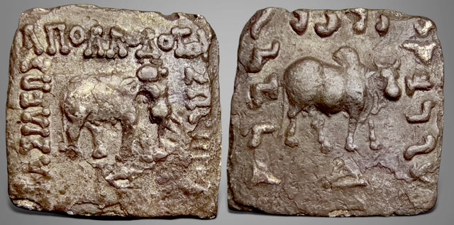 Indo-Greek Kings. Apollodotos I Soter. (Circa 175-165 BC). AR Drachm.