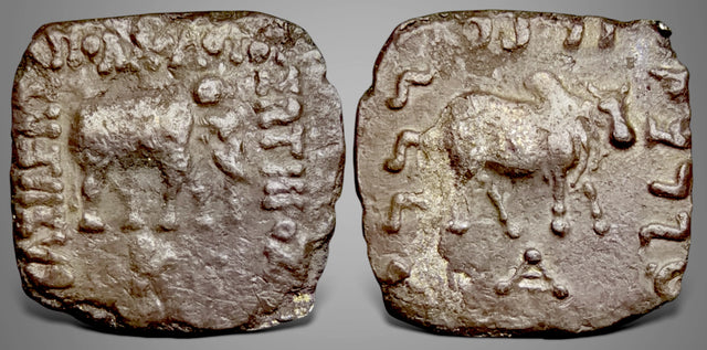 Indo-Greek Kings. Apollodotos I Soter. (Circa 175-165 BC). AR Drachm.