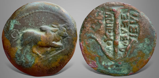 Seleukid Kings, Seleukos I Nikator & Antiochos I Soter. (Circa 293-256 BC) AE Unit. Extremely Rare Variaty
