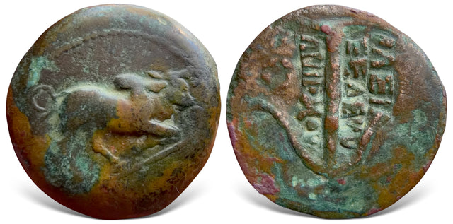 Seleukid Kings, Seleukos I Nikator & Antiochos I Soter. (Circa 293-256 BC) AE Unit. Extremely Rare Variaty