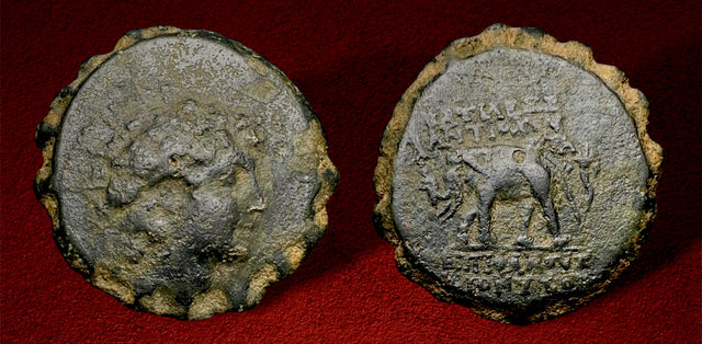 Seleukid Kings. Antiochos VI Dionysos (BC 144-142) AE Serrate.