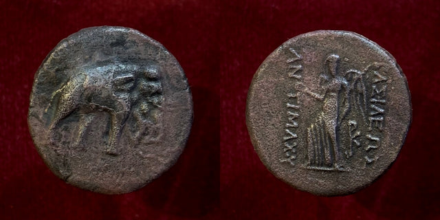 Baktrian Kings. Antimachos I. Circa. 174-165 BC. AE Double Unit