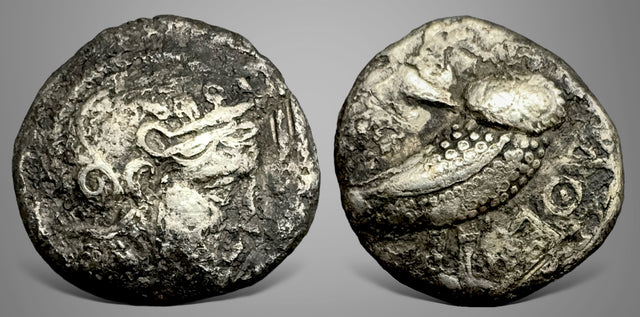 Bactrian, Local issues. (Circa 295/3-285/3 BC). AR Didrachm. From Oxus region.
